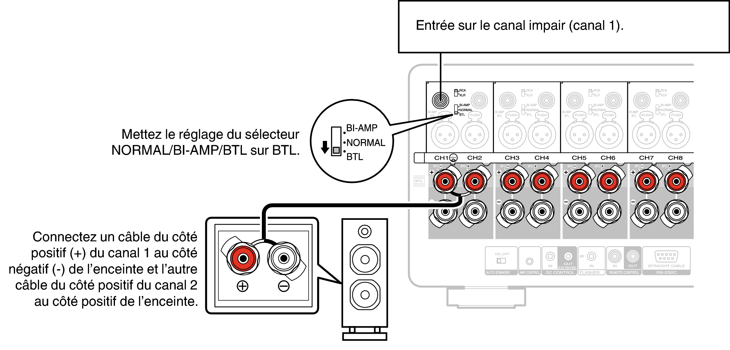 Conne SP BLT AMP10